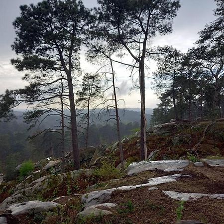 Gite Les Petites Bruyeres Veneux-les-Sablons Kültér fotó
