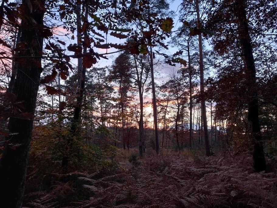 Gite Les Petites Bruyeres Veneux-les-Sablons Kültér fotó